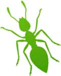 Green Ant