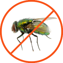 Northeastern Pennsylvania Pest Control